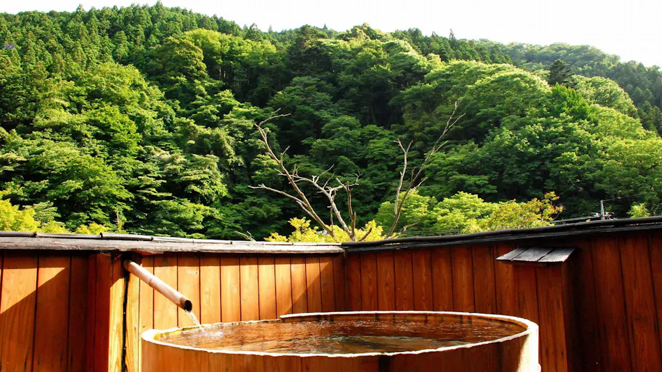 Onsen Kakenagashi no Yu Oyado Sakaya