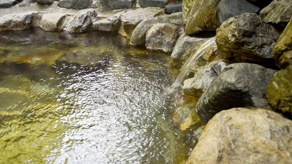 Hanamaki Onsenkyo Dai Onsen Iyashiro no Yu Hotel Sanemon