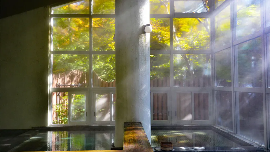 Hanamaki Onsenkyo Dai Onsen Iyashiro no Yu Hotel Sanemon