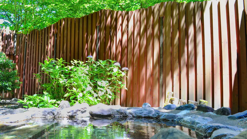 Hanamaki Onsenkyo Dai Onsen Iyashiro no Yu Hotel Sanemon