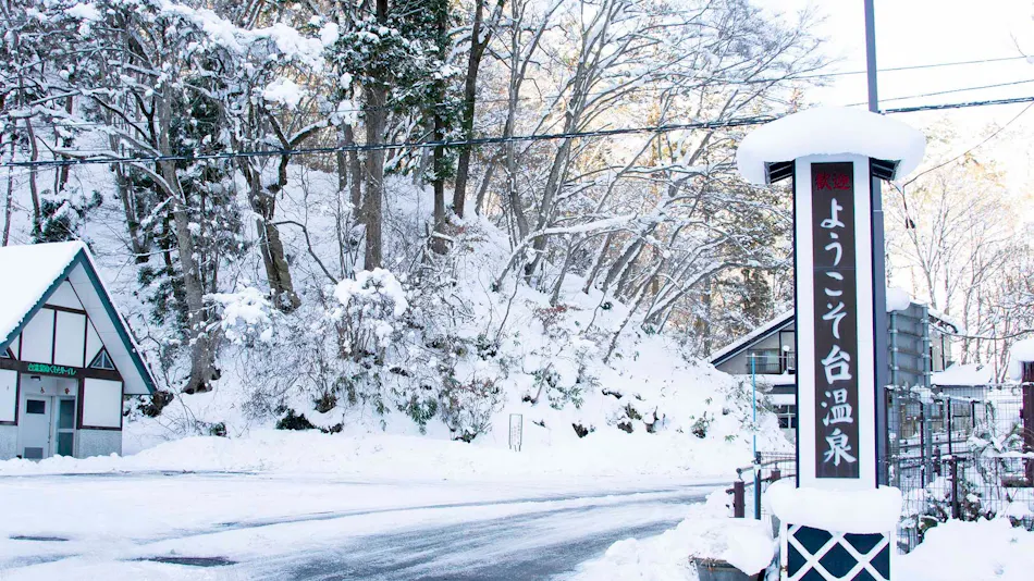 Hanamaki Onsenkyo Dai Onsen Iyashiro no Yu Hotel Sanemon