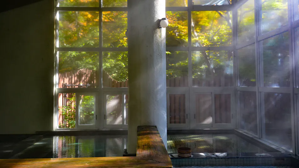 Hanamaki Onsenkyo Dai Onsen Iyashiro no Yu Hotel Sanemon