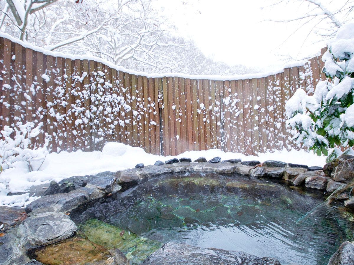 Hanamaki Onsenkyo Dai Onsen Iyashiro no Yu Hotel Sanemon