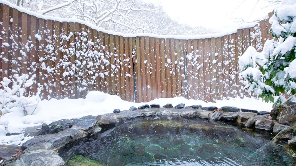 Hanamaki Onsenkyo Dai Onsen Iyashiro no Yu Hotel Sanemon