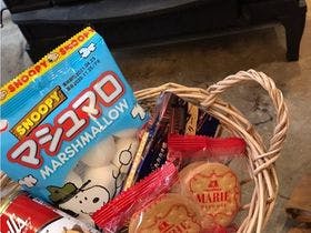 昭和の森フォレストビレッジ