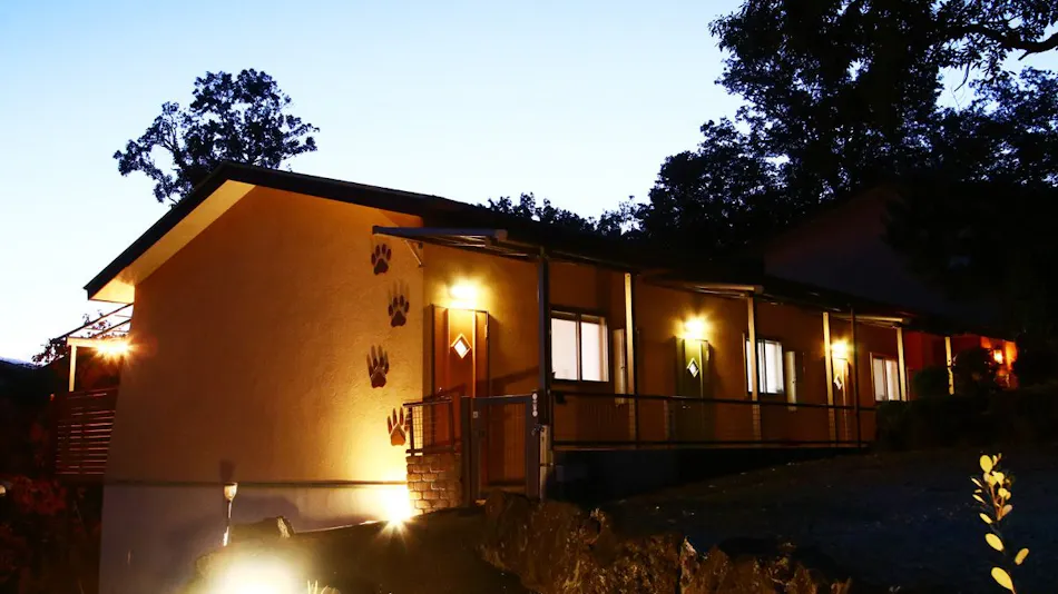 Sunny's Pawprints: Pet-Friendly Onsen Inn