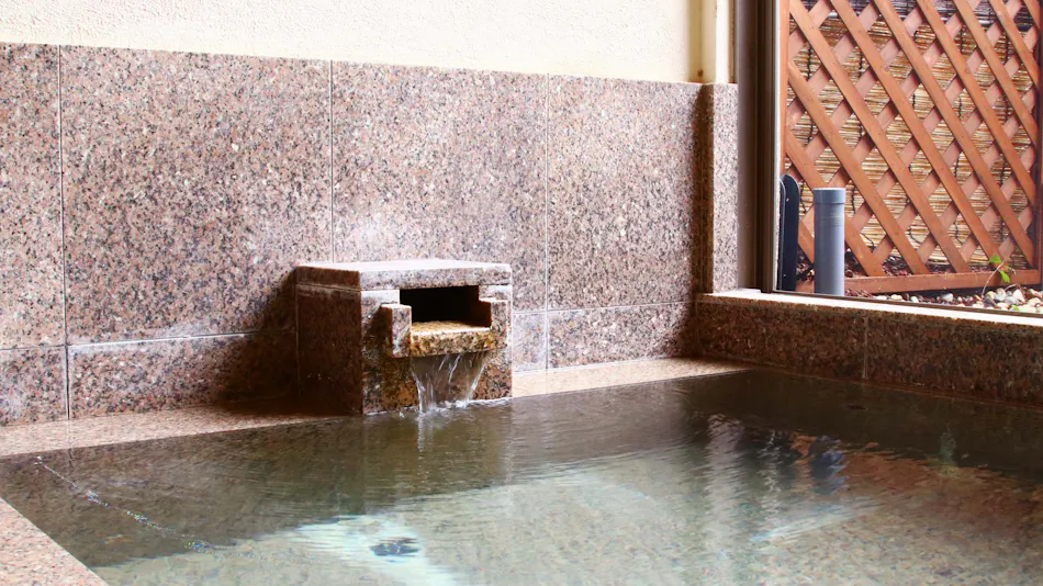 Sunny's Pawprints: Pet-Friendly Onsen Inn