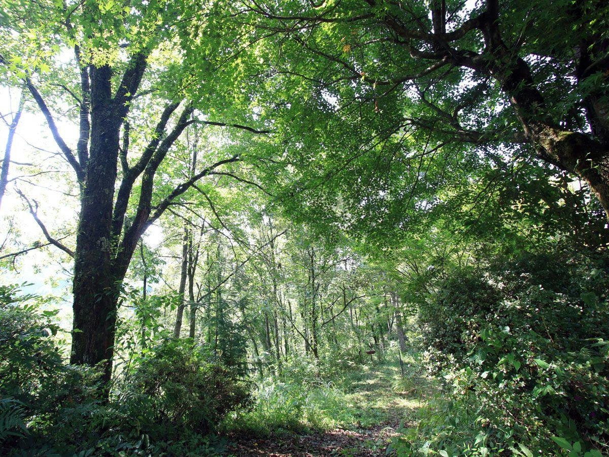 Gokase-no-Sato Camp Village & Guest House