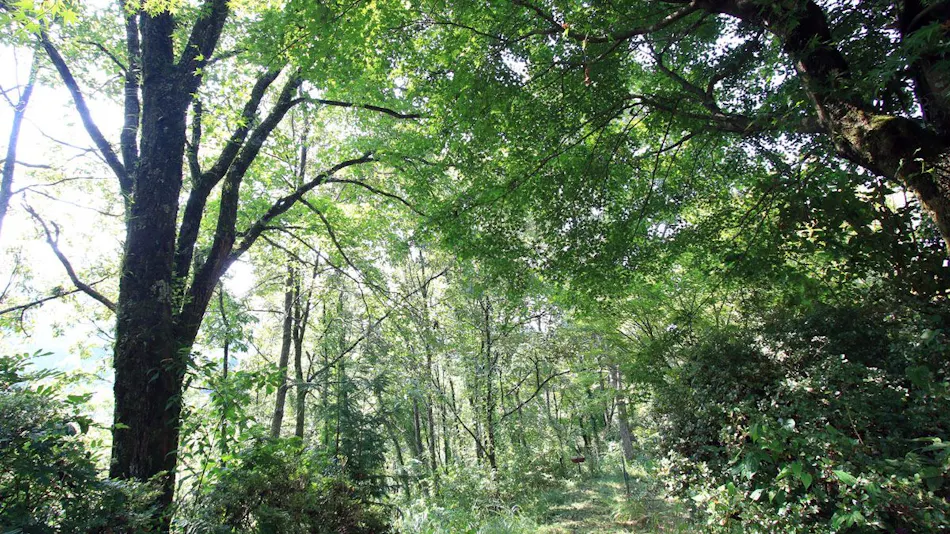 Gokase-no-Sato Camp Village & Guest House