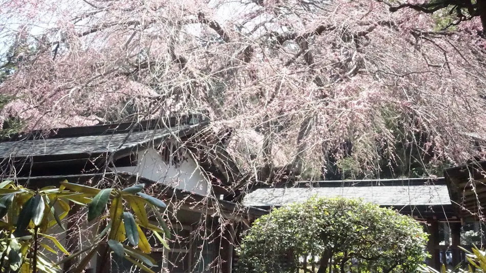 Koyasan Onsen Fukuchiin