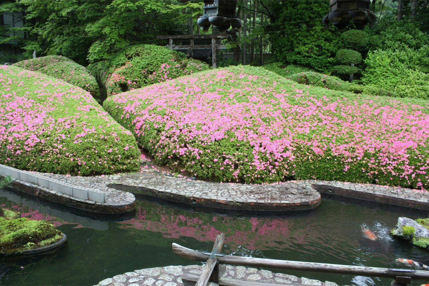 Koyasan Onsen Fukuchiin