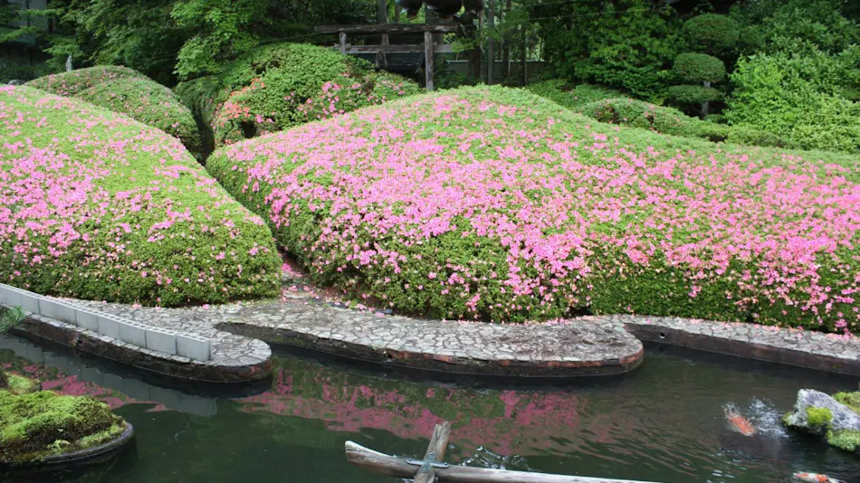 Koyasan Onsen Fukuchiin