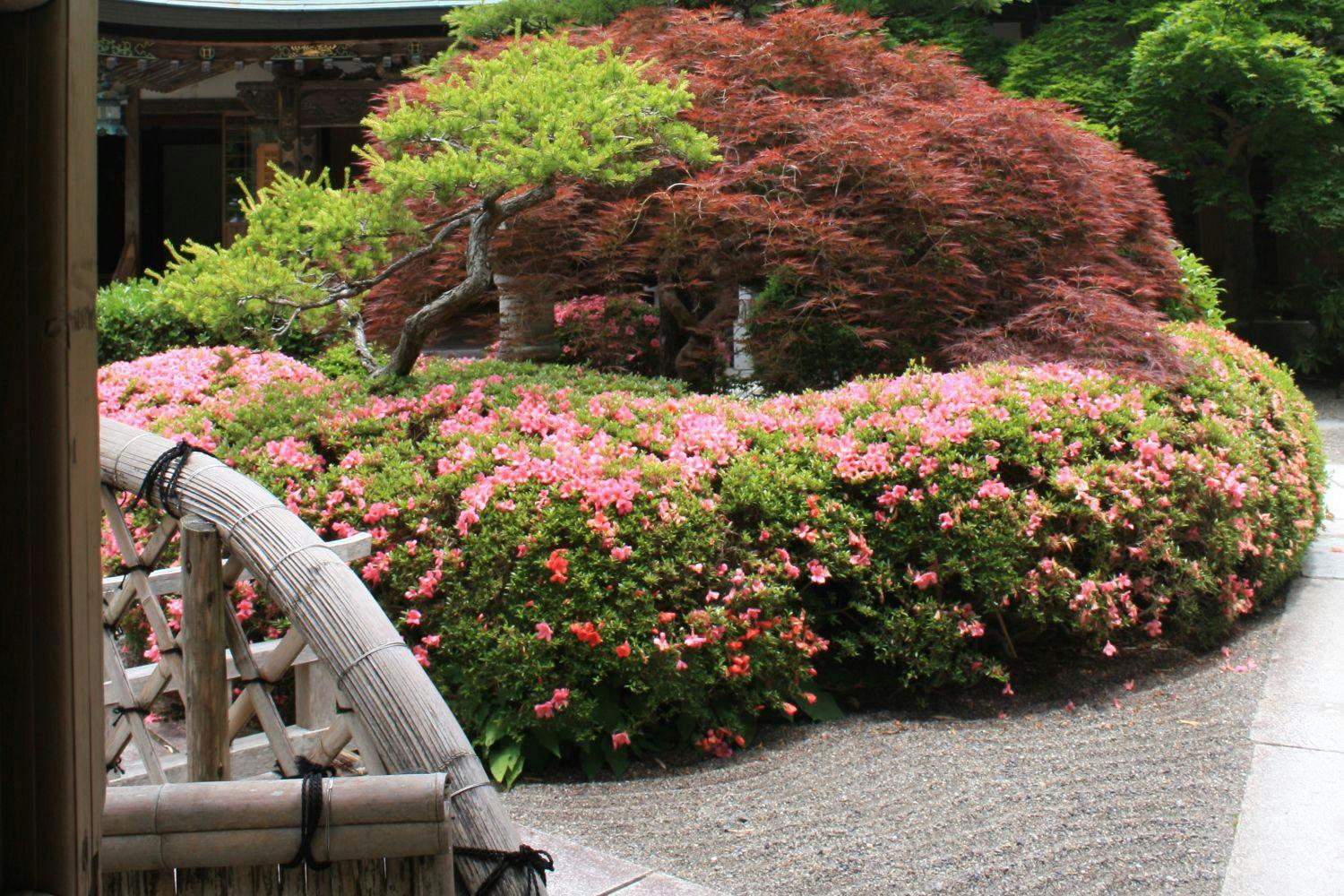Koyasan Onsen Fukuchiin