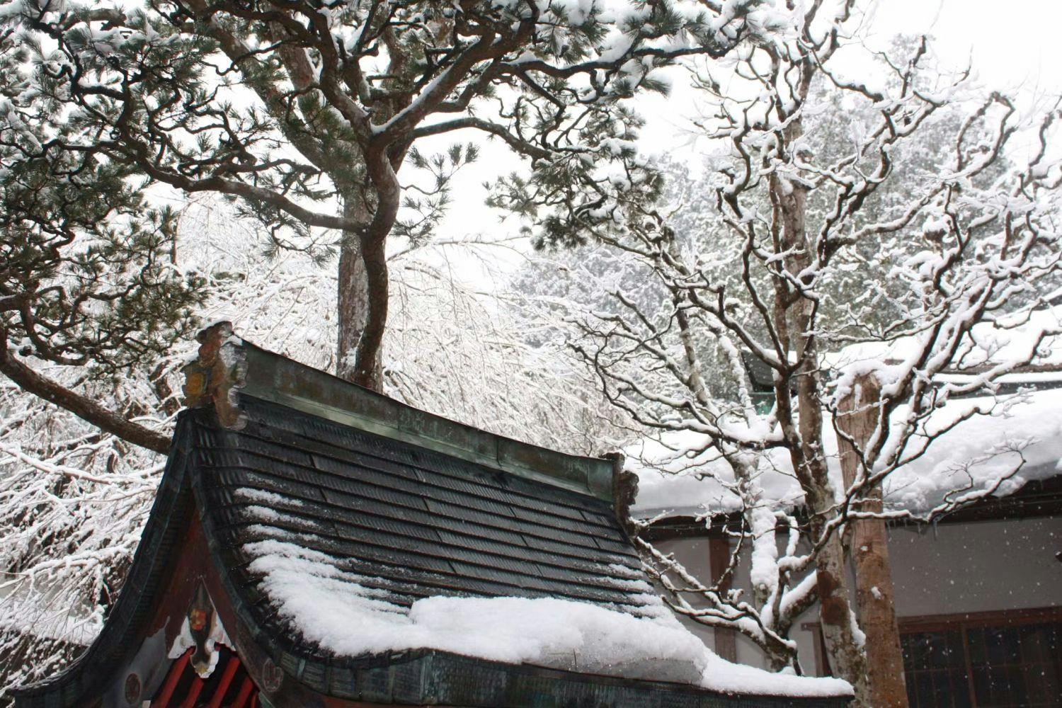 Koyasan Onsen Fukuchiin