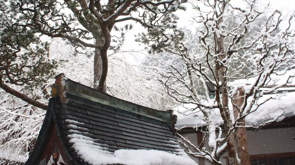Koyasan Onsen Fukuchiin