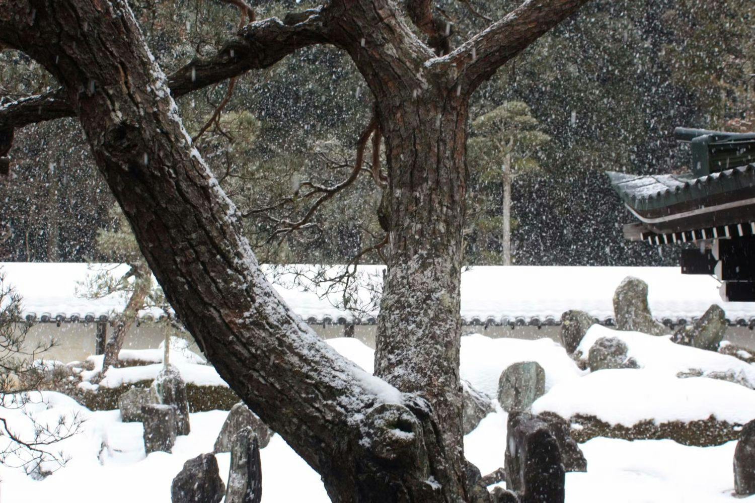 Koyasan Onsen Fukuchiin