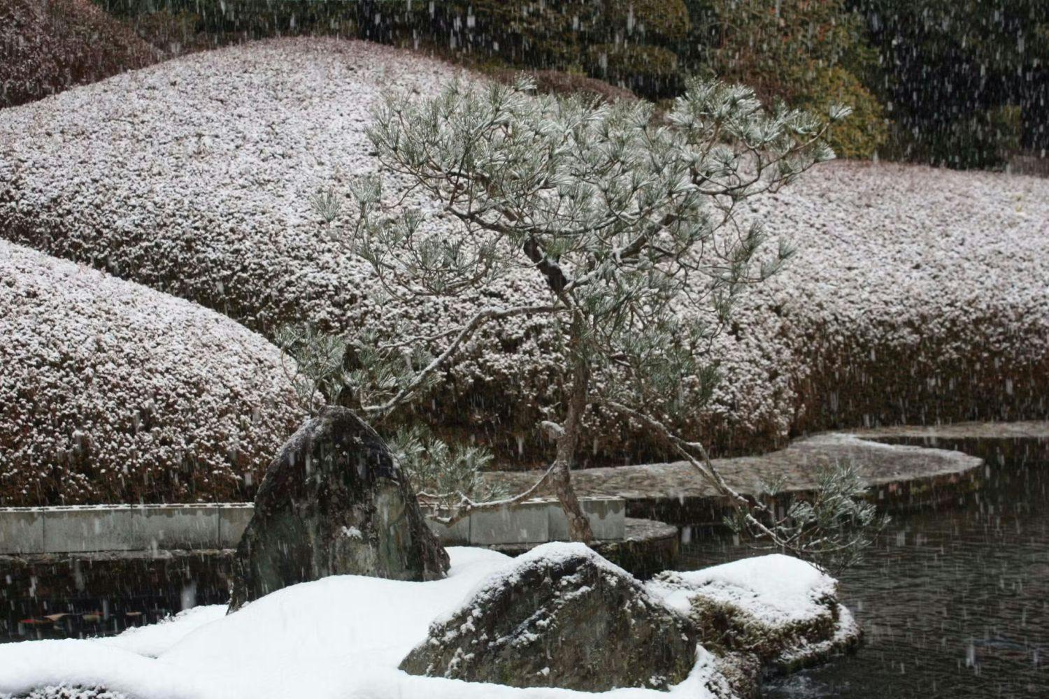Koyasan Onsen Fukuchiin