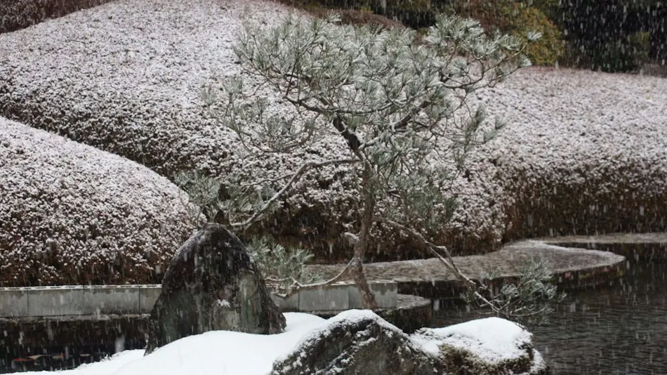 Koyasan Onsen Fukuchiin