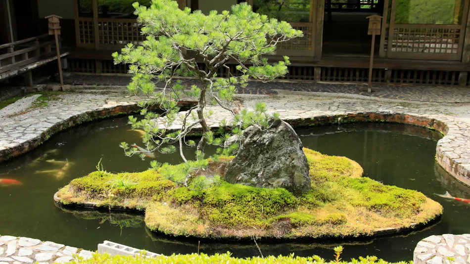 Koyasan Onsen Fukuchiin