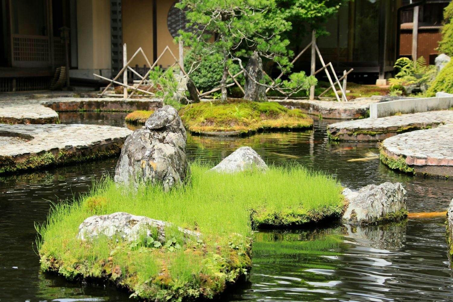 Koyasan Onsen Fukuchiin