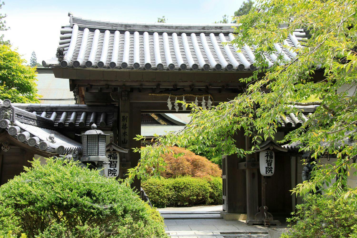 Koyasan Onsen Fukuchiin