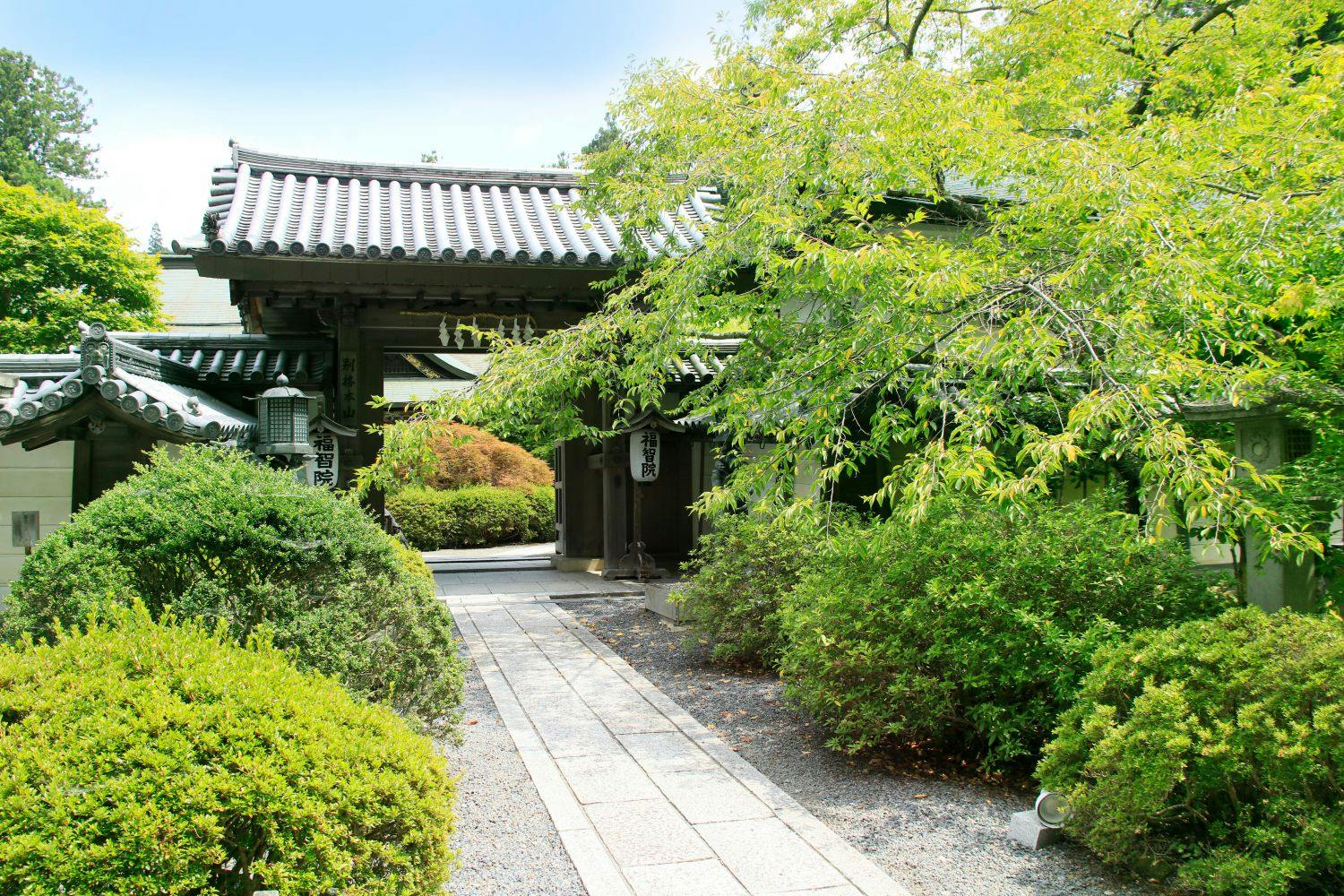 Koyasan Onsen Fukuchiin