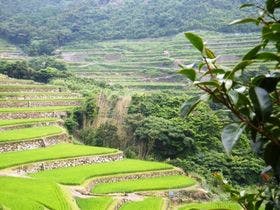 旅館田の浦温泉