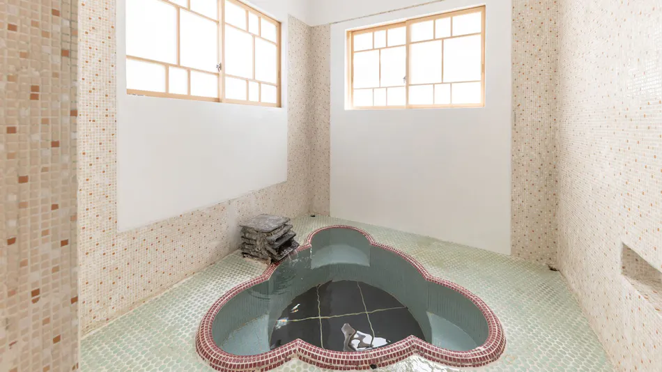 Reisenji Onsen Izumiya Ryokan