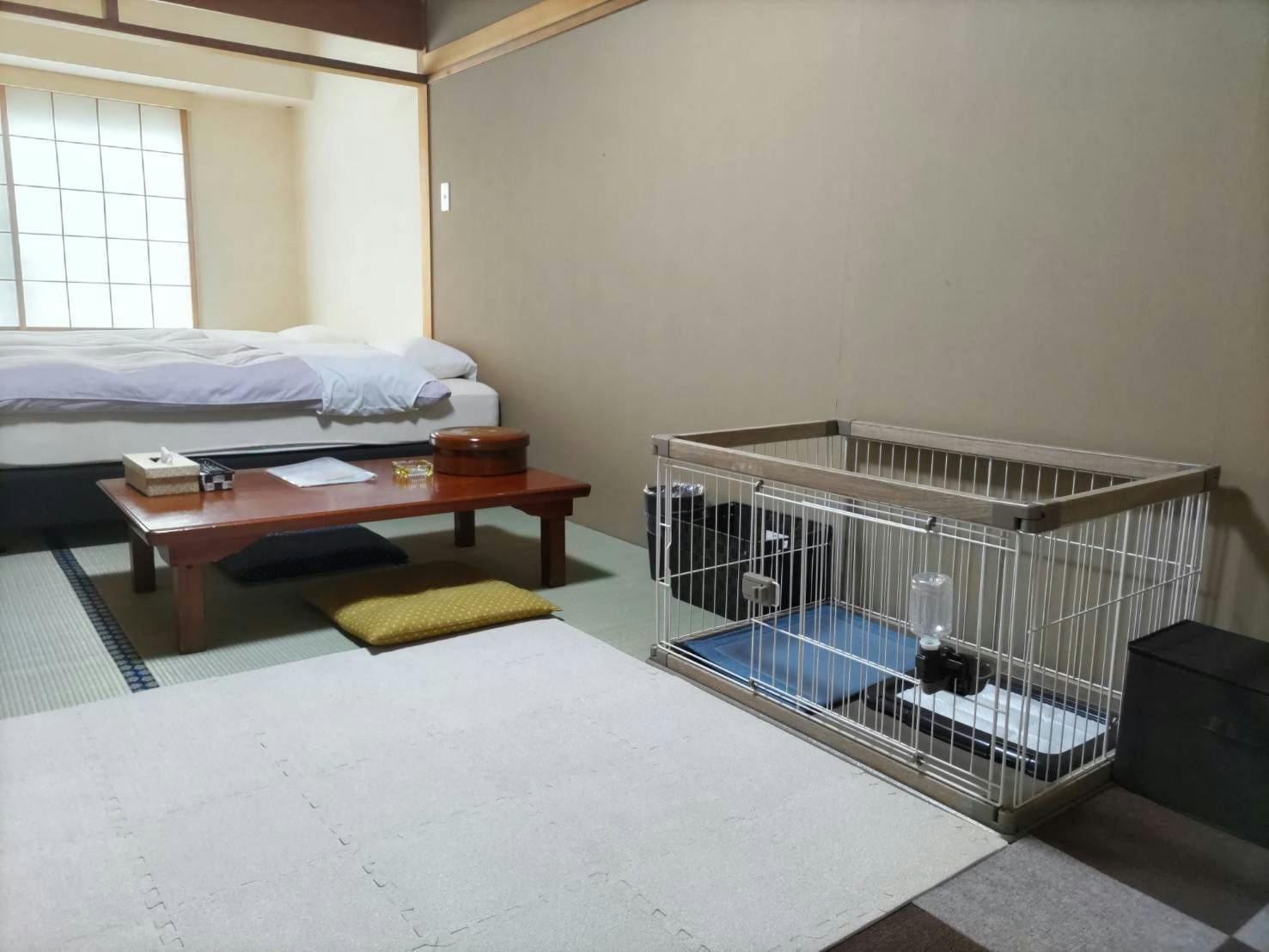 ห้องพักแบบกำหนดเอง (สัตว์เลี้ยง)