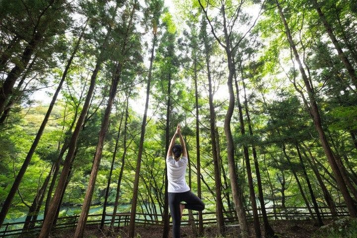 Itamuro Bettei Retreat SPA Wayakuso
