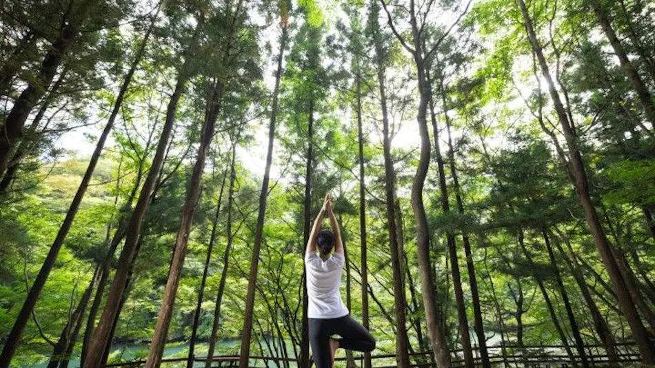 Itamuro Bettei Retreat SPA Wayakuso