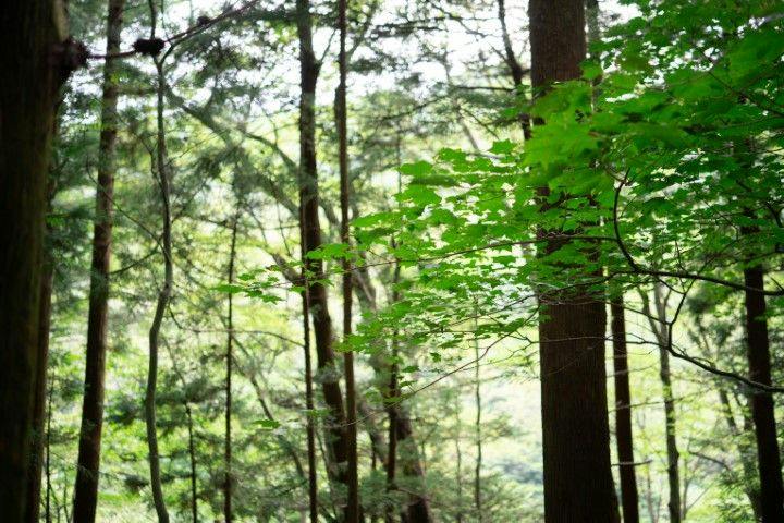 Itamuro Bettei Retreat SPA Wayakuso
