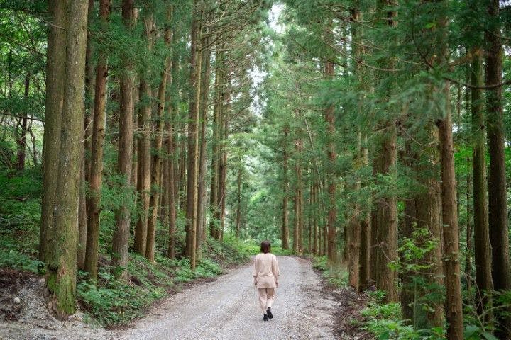 Itamuro Bettei Retreat SPA Wayakuso