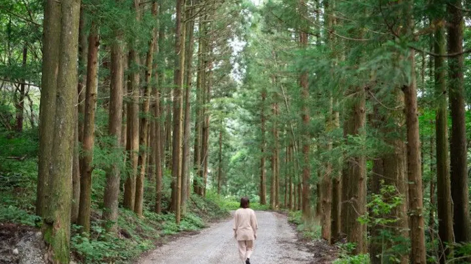 Itamuro Bettei Retreat SPA Wayakuso