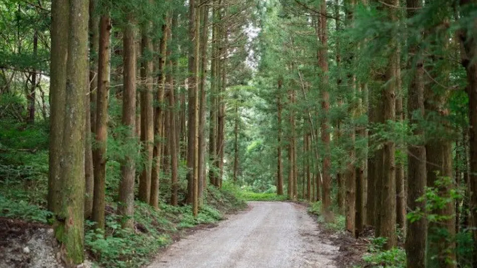 Itamuro Bettei Retreat SPA Wayakuso