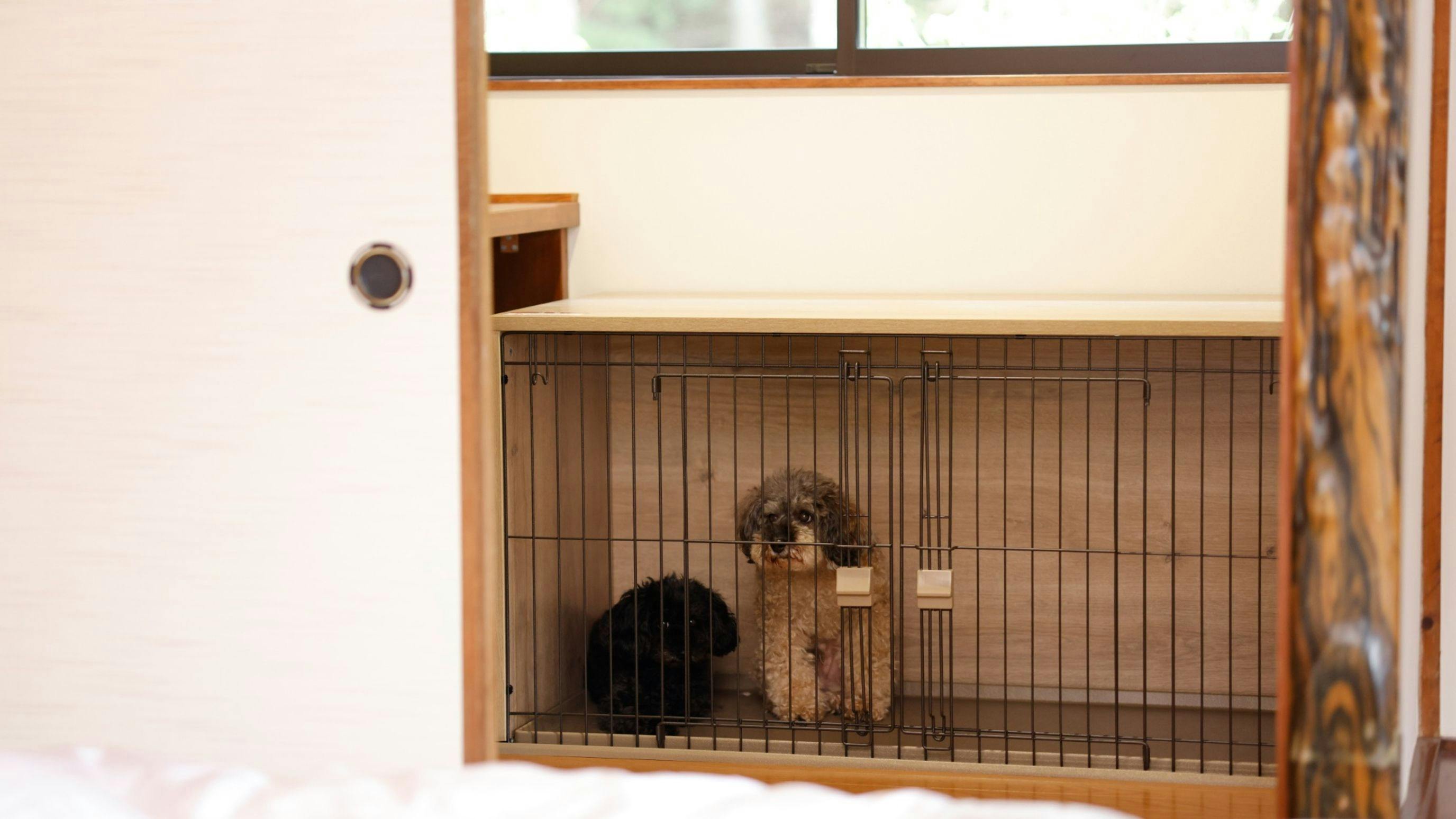 hotel & glamp Yamaboshi