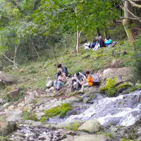 ลำธารที่ไหลผ่านพื้นหินแกรนิต