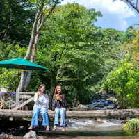 คุณสามารถเพลิดเพลินกับธรรมชาติอันยิ่งใหญ่ภายในพื้นที่