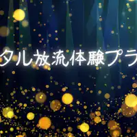 แผนประสบการณ์ปล่อยหิ่งห้อย