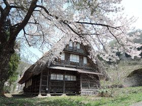 飯美館　よしね