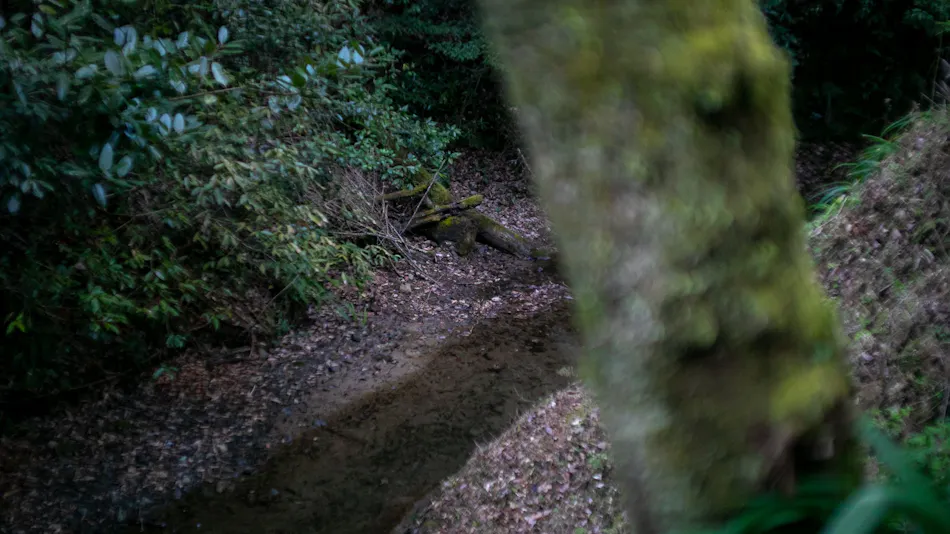 Nagahikawa: An Irori Kaiseki Inn in the Hidden Retreat of Miyazaki