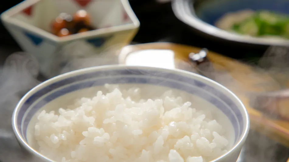 Nagahikawa: An Irori Kaiseki Inn in the Hidden Retreat of Miyazaki