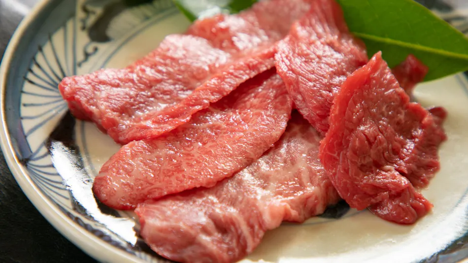 Nagahikawa: An Irori Kaiseki Inn in the Hidden Retreat of Miyazaki