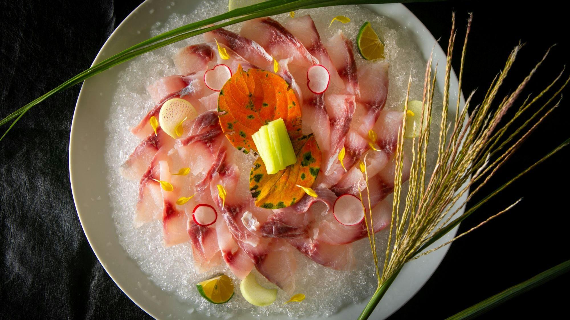Nagahikawa: An Irori Kaiseki Inn in the Hidden Retreat of Miyazaki