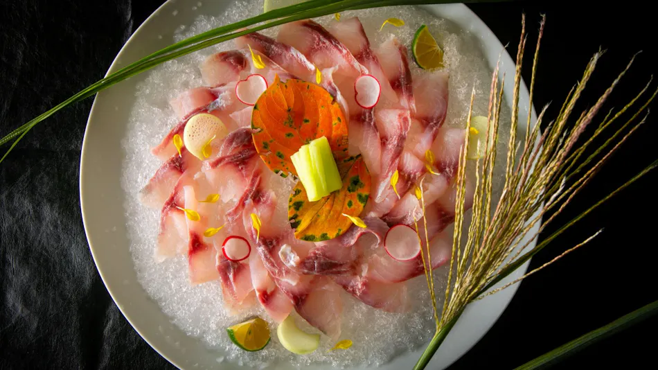 Nagahikawa: An Irori Kaiseki Inn in the Hidden Retreat of Miyazaki
