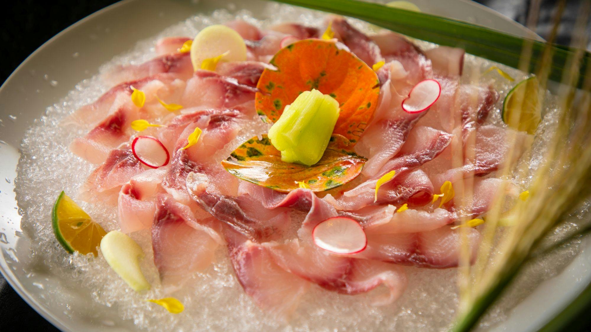Nagahikawa: An Irori Kaiseki Inn in the Hidden Retreat of Miyazaki