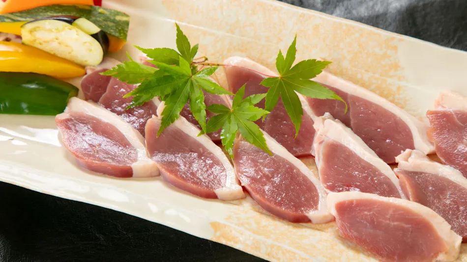 Nagahikawa: An Irori Kaiseki Inn in the Hidden Retreat of Miyazaki