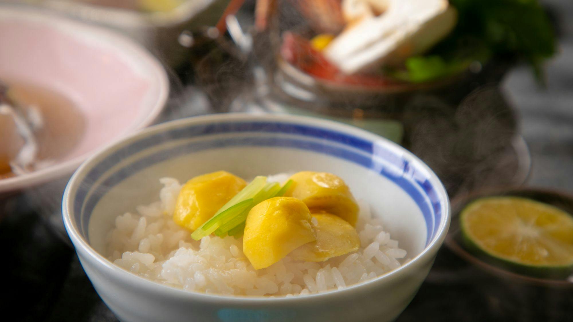 Nagahikawa: An Irori Kaiseki Inn in the Hidden Retreat of Miyazaki