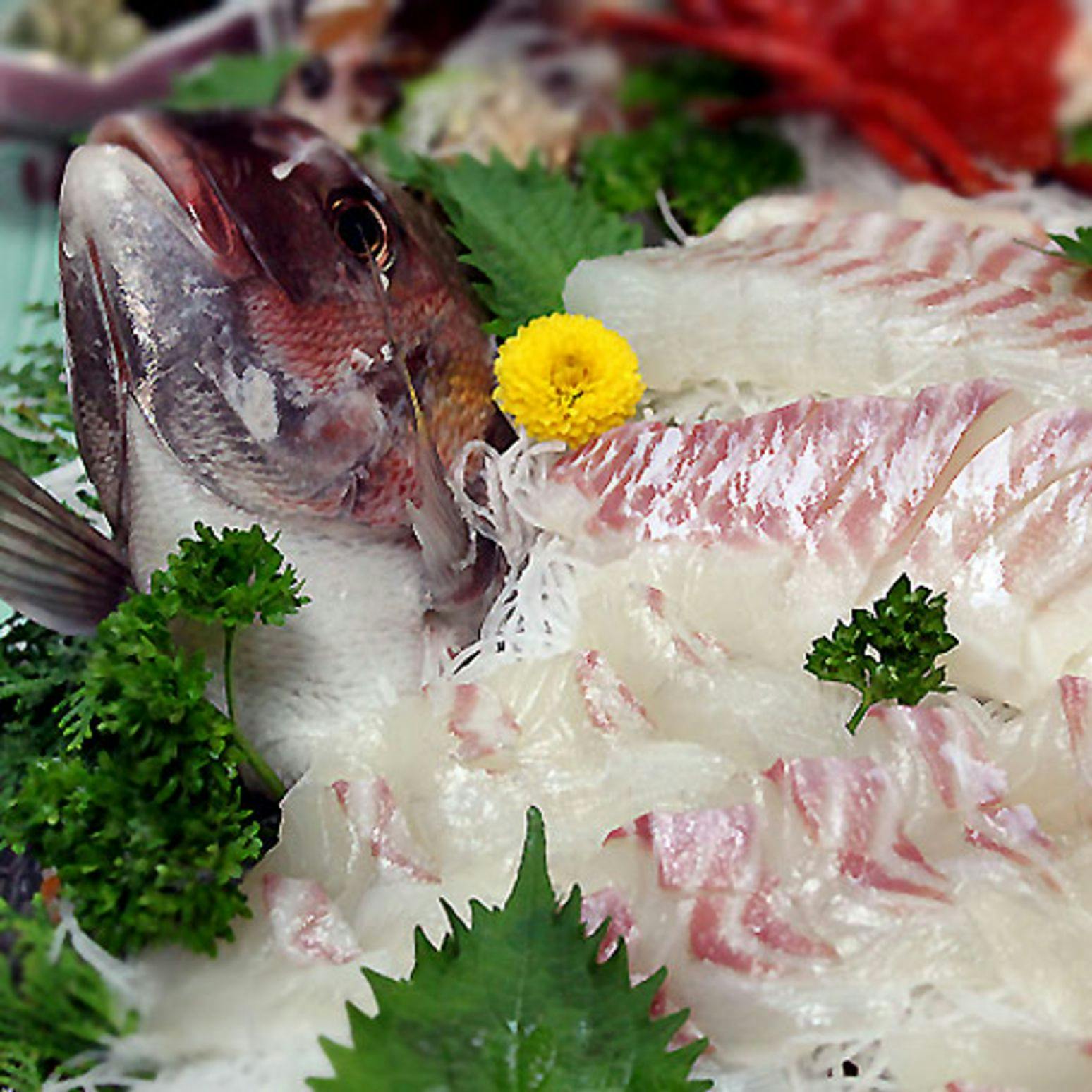 Awabi to Ise Ebi no Oyado Tamaya