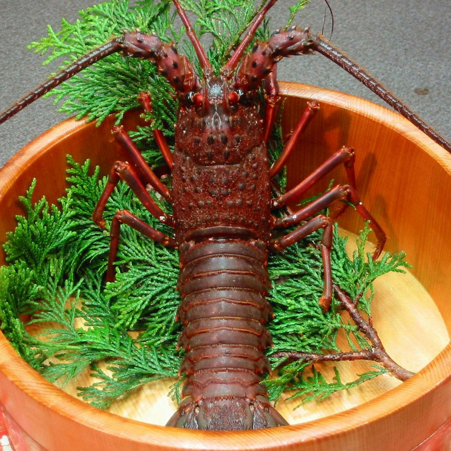 Awabi to Ise Ebi no Oyado Tamaya